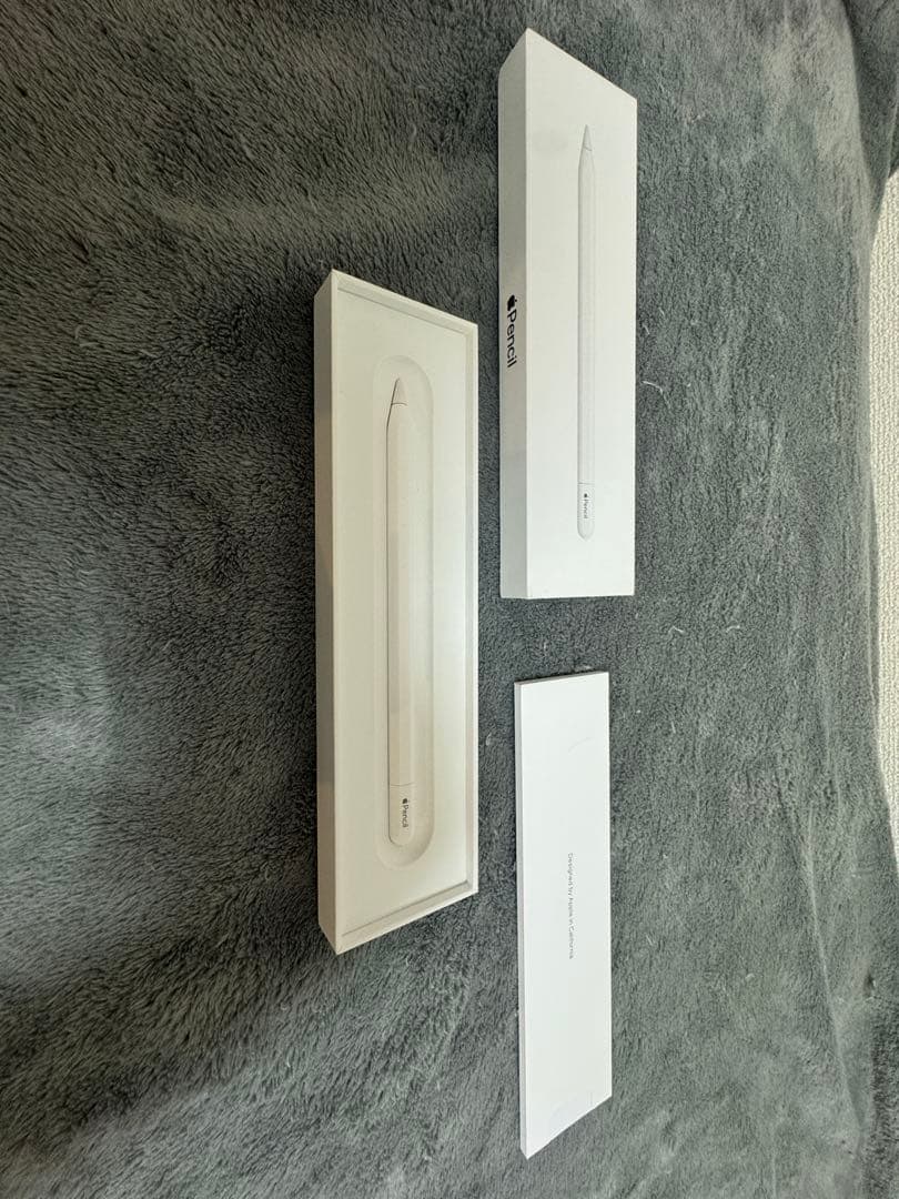 Apple Pencil(USB-C) 箱付き