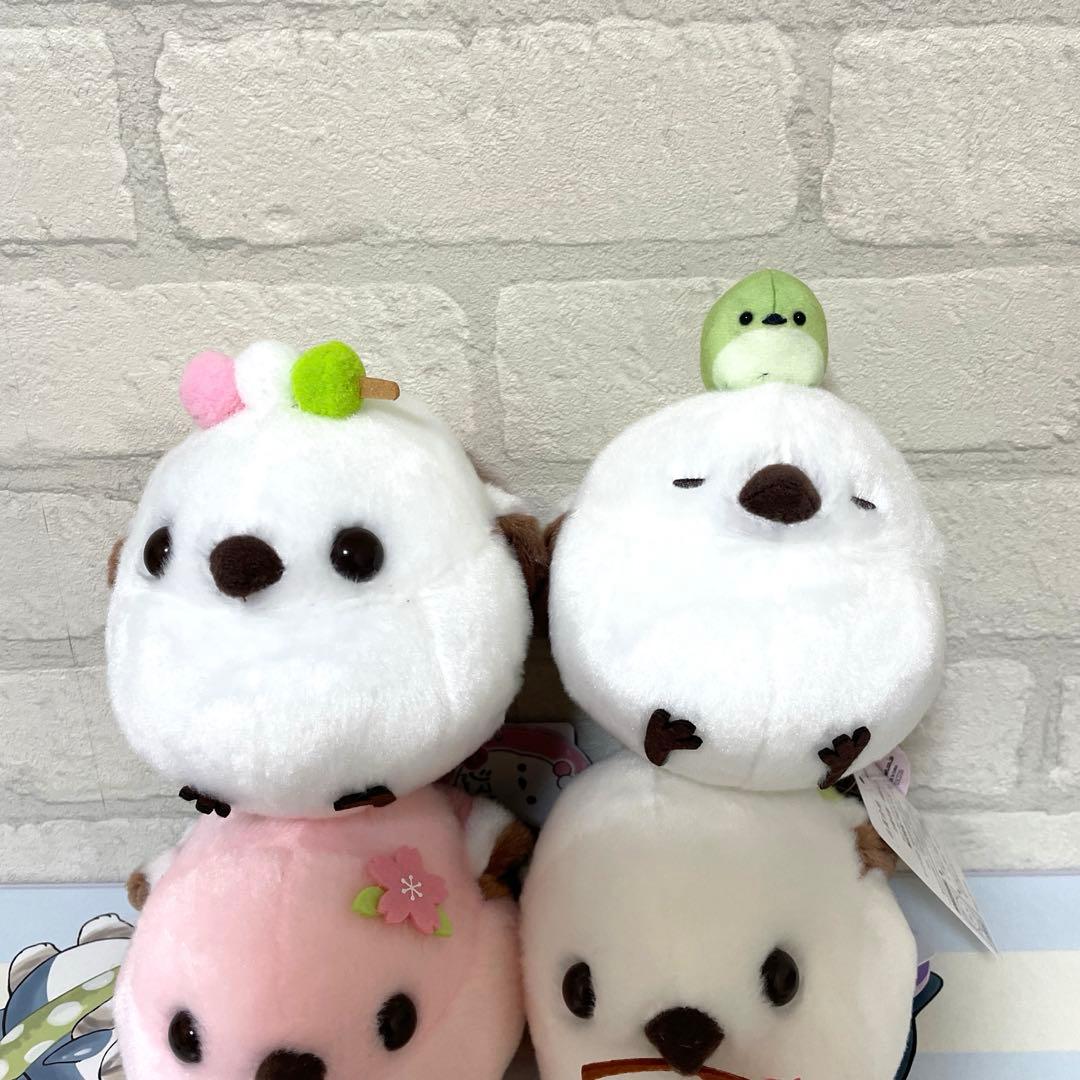 ふくふく　シマちゃん春うらら　コンプセット