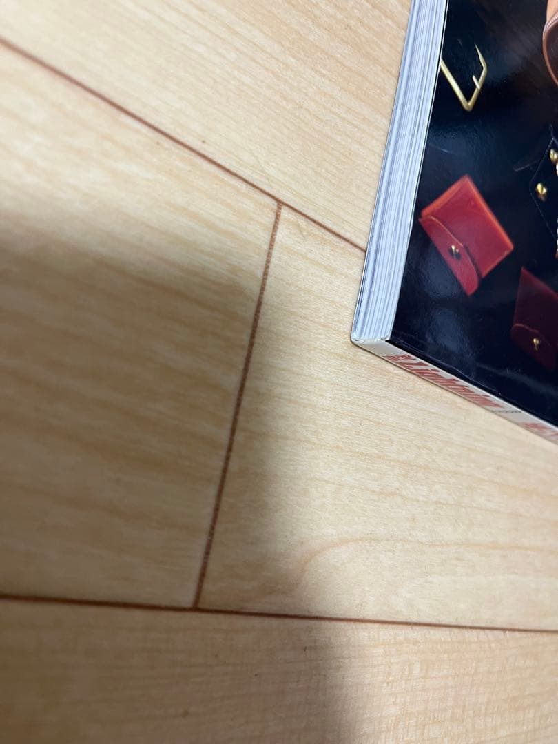 【雑誌】Lightning 革ジャンの教科書 （枻出版社）