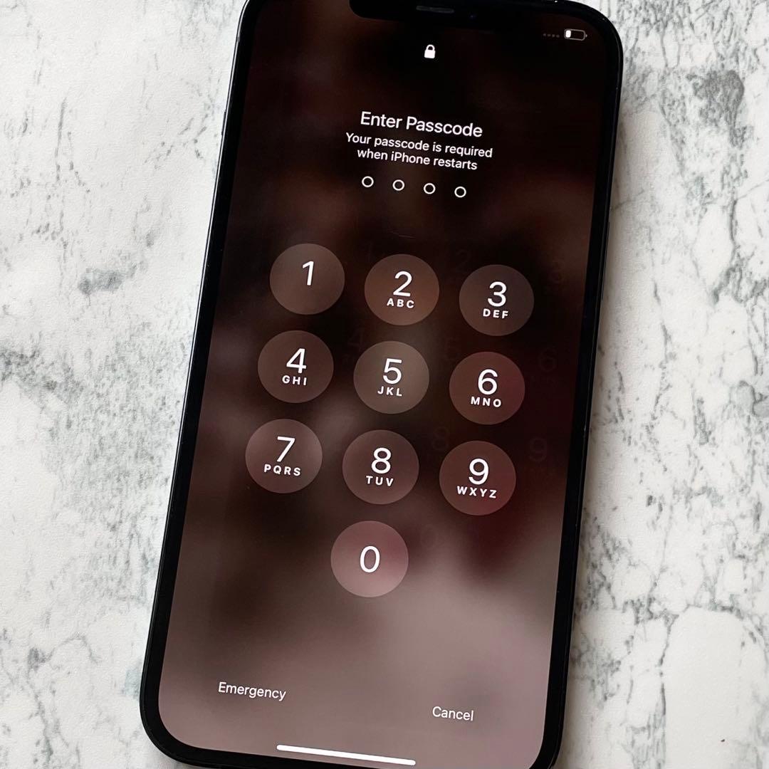 【ジャンク品】iPhone12 Pro Max 本体 パシフィックブルー