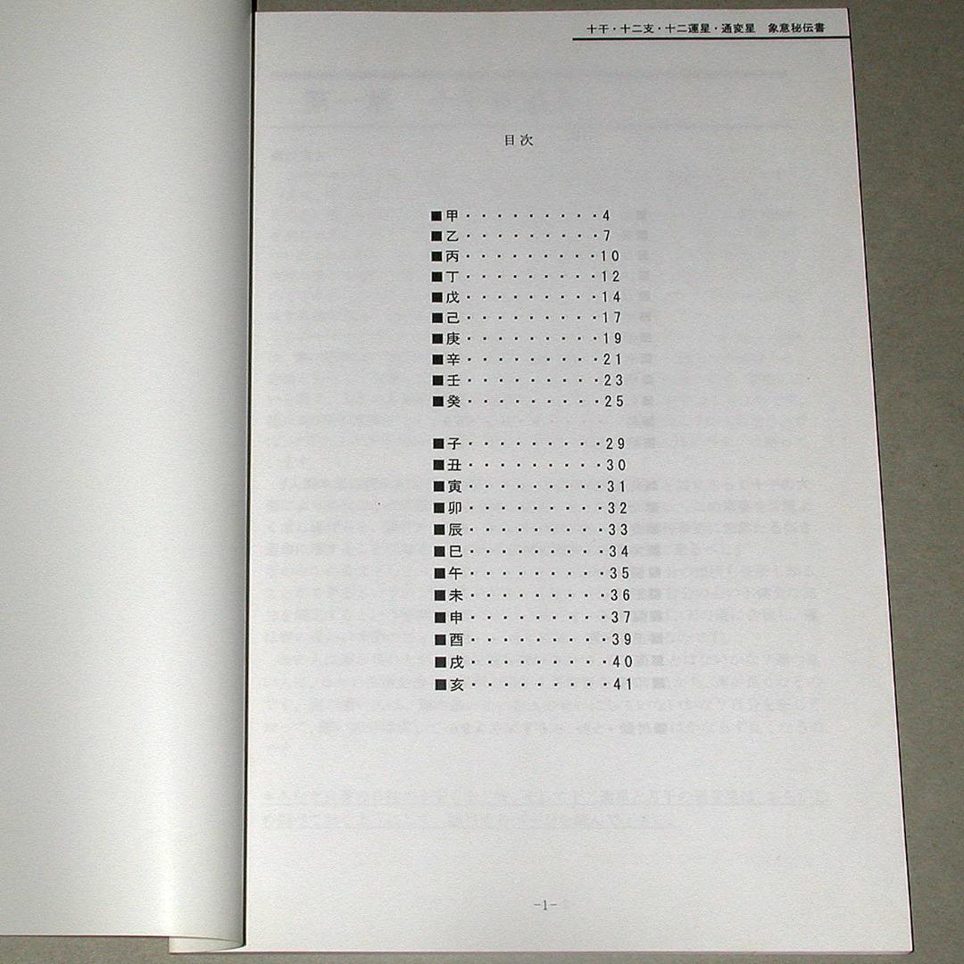 【絶版】十干 十二支 十二運星 通変星 象意秘伝書　天野雲海 著