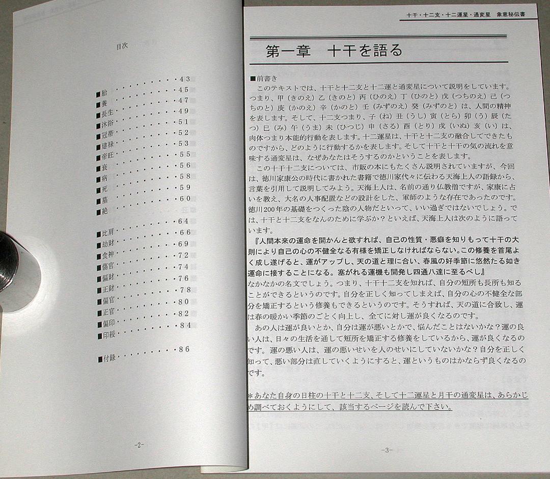 【絶版】十干 十二支 十二運星 通変星 象意秘伝書　天野雲海 著