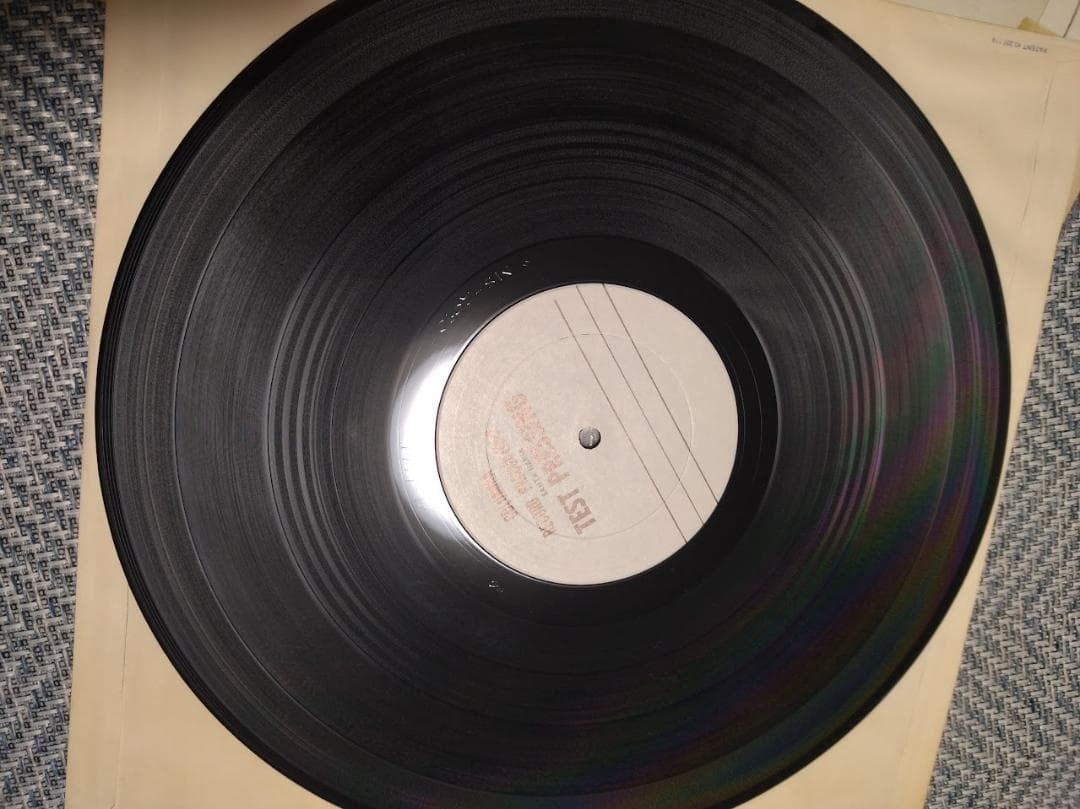 カール・アンド・ザ・パッションズ　（test press）