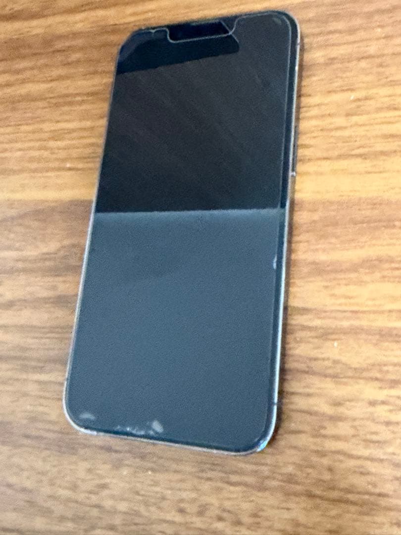 Apple iPhone 13 Pro グラファイト