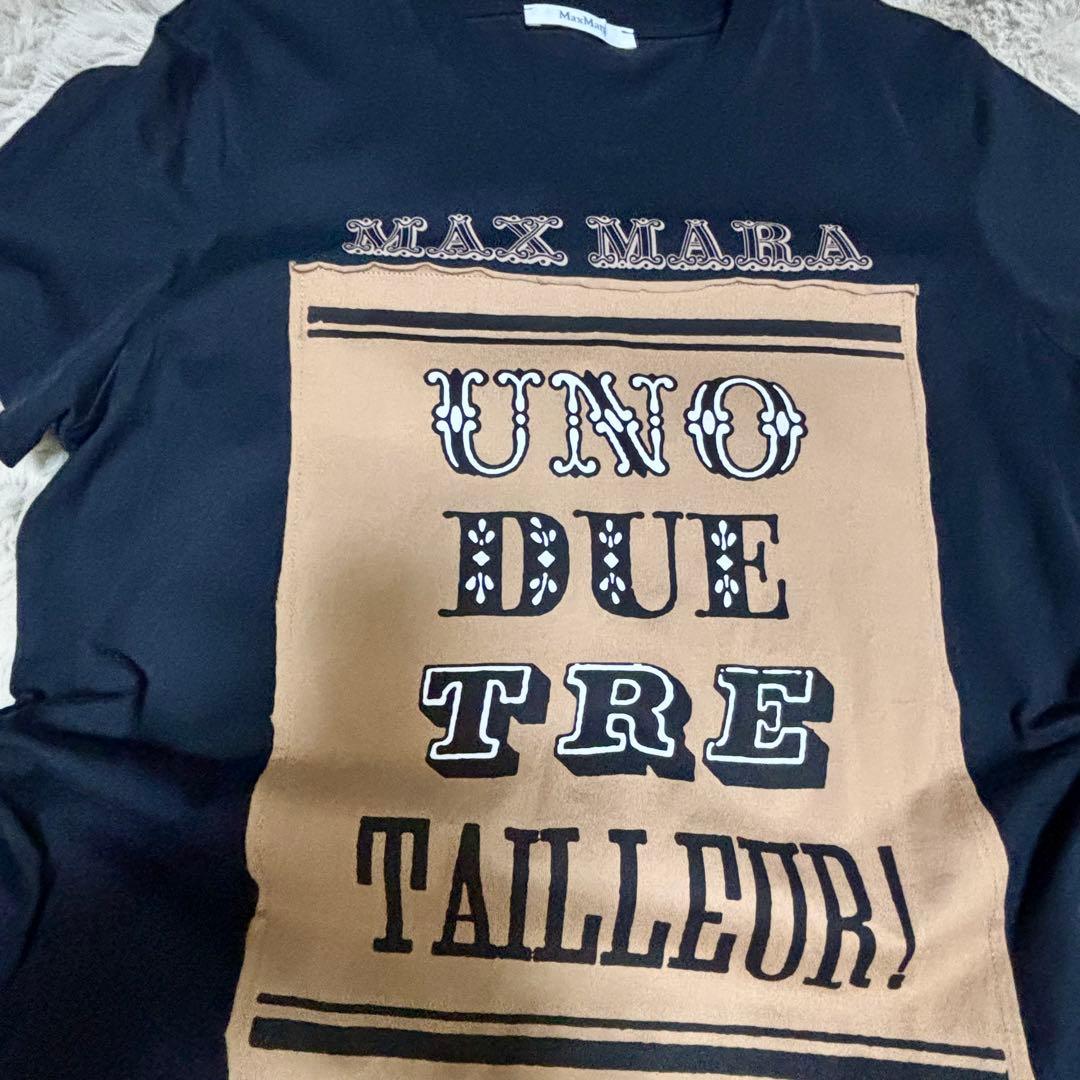 美品　マックスマーラ　Max Mara Tシャツ
