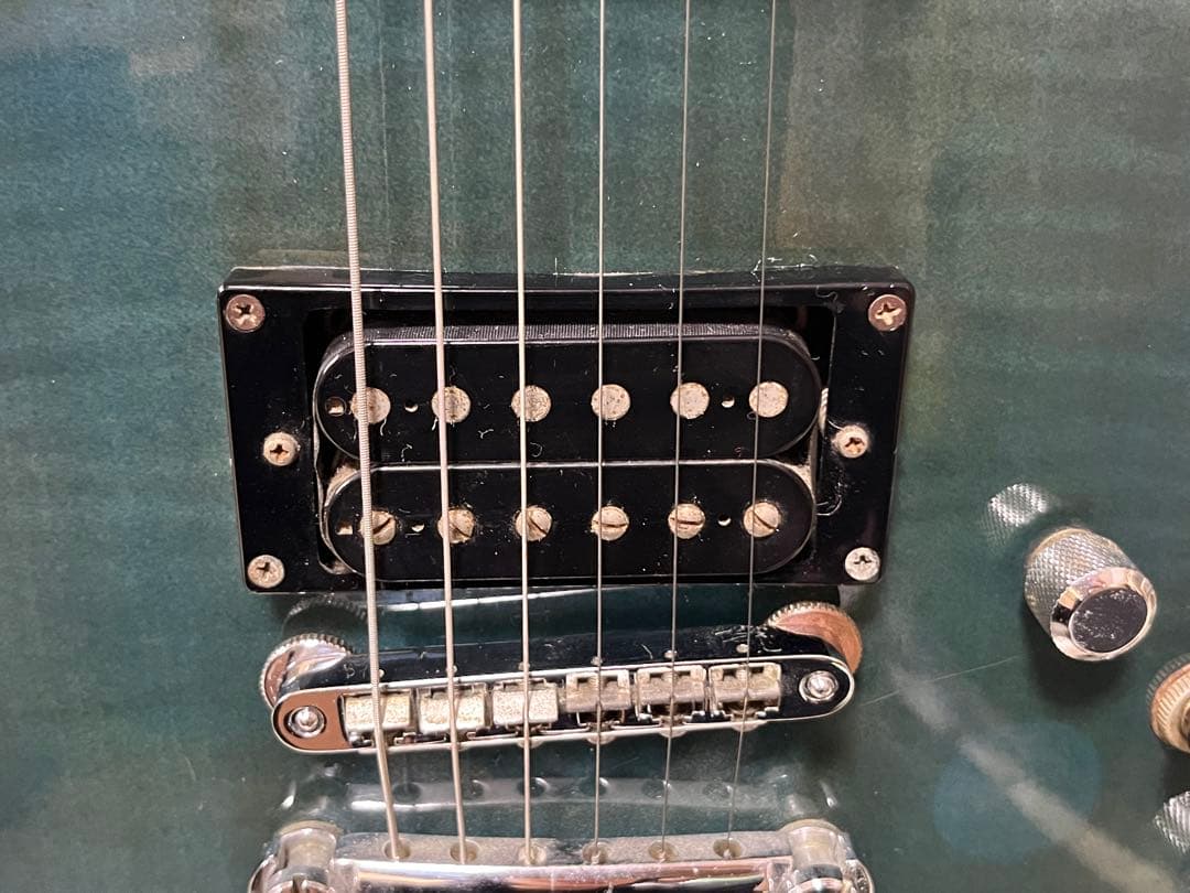 Fernandes フェルナンデス APG-55S サスティナー エレキギター