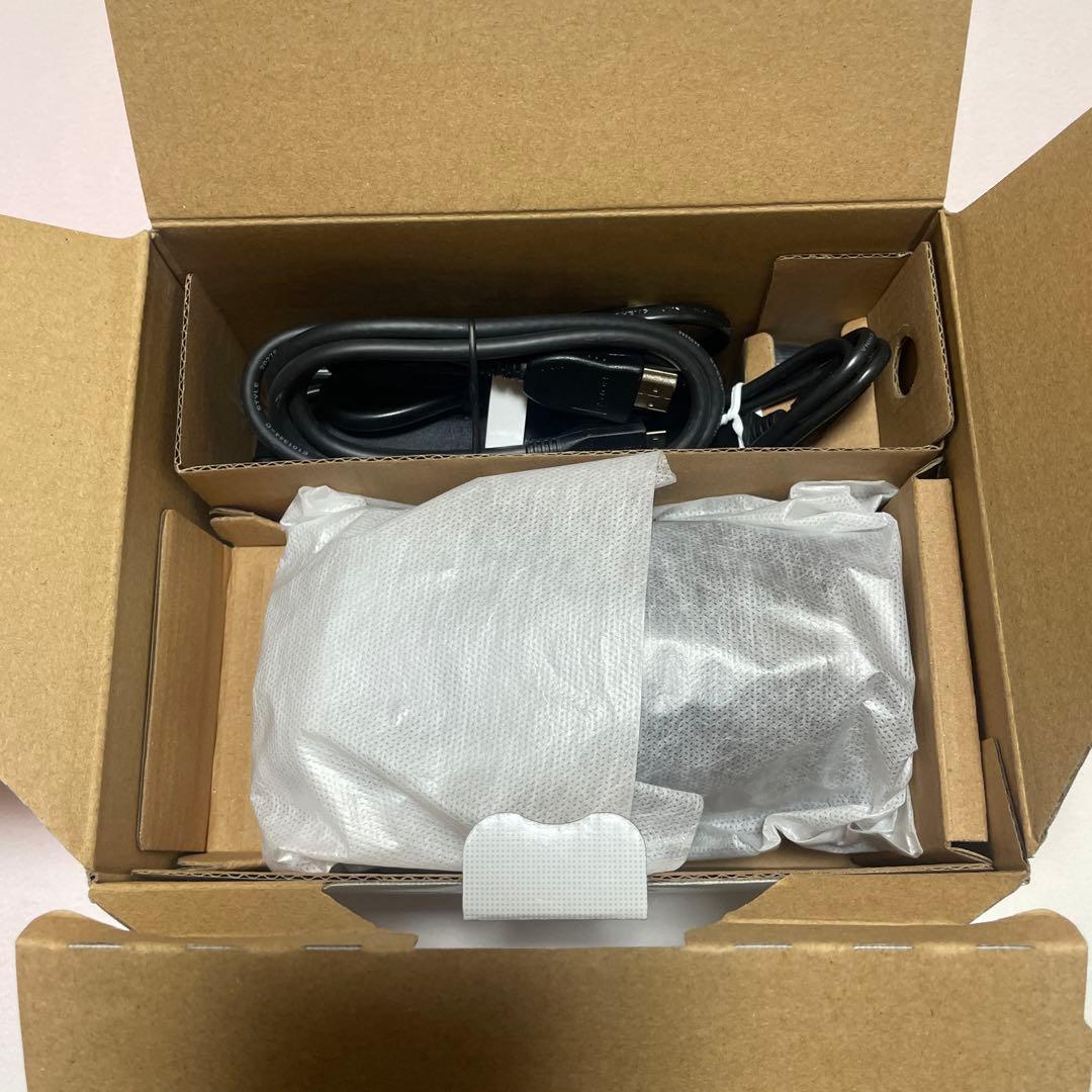 即購入◎ Sony ソニー Handycam FDR-AX45 4K本体