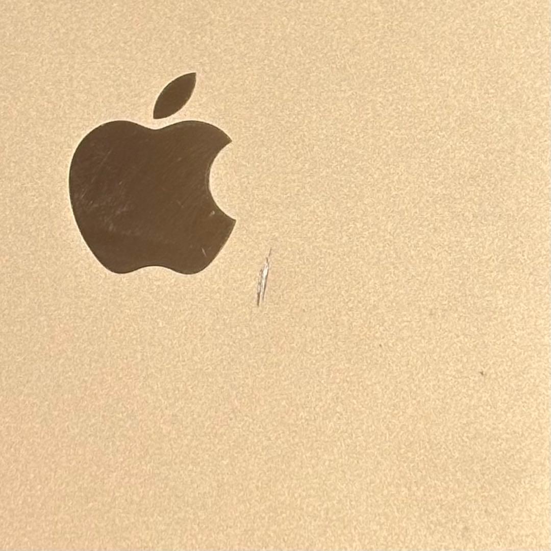 【Roma】Apple iPad mini 4 ゴールド