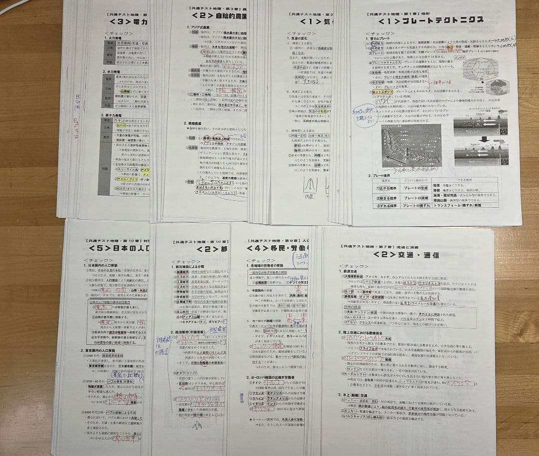 [駿台]地理(系統地理・地誌)+授業プリント、地理読図・統計問題、+αプリント