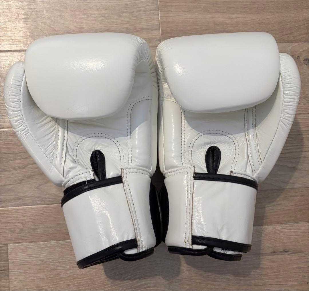 Fairtex ボクシンググローブ 10oz ホワイト