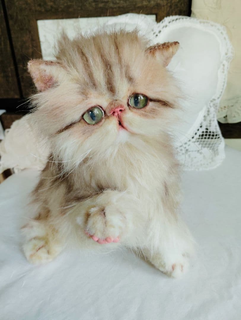 エキゾチックロングヘア♡可愛い子猫ちゃん♡大きめサイズ♡アートドール♡ぬいぐるみ