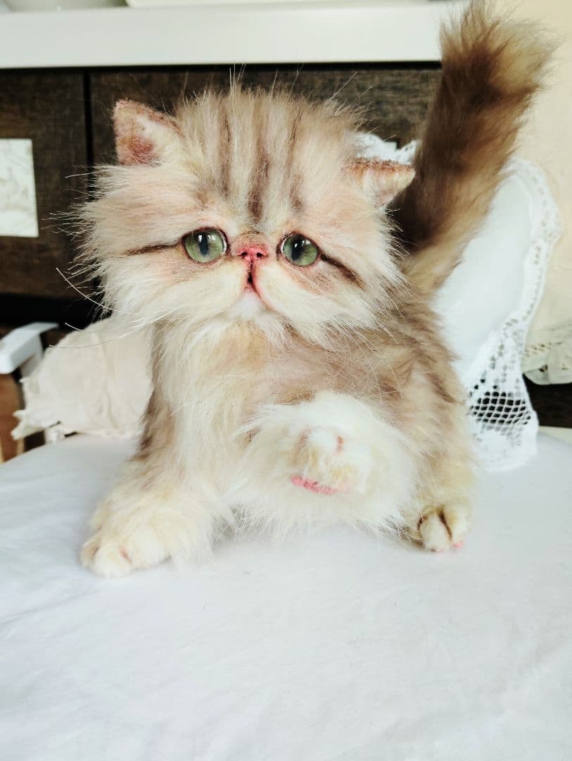 エキゾチックロングヘア♡可愛い子猫ちゃん♡大きめサイズ♡アートドール♡ぬいぐるみ