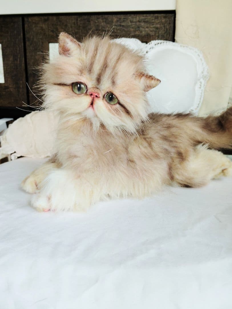 エキゾチックロングヘア♡可愛い子猫ちゃん♡大きめサイズ♡アートドール♡ぬいぐるみ