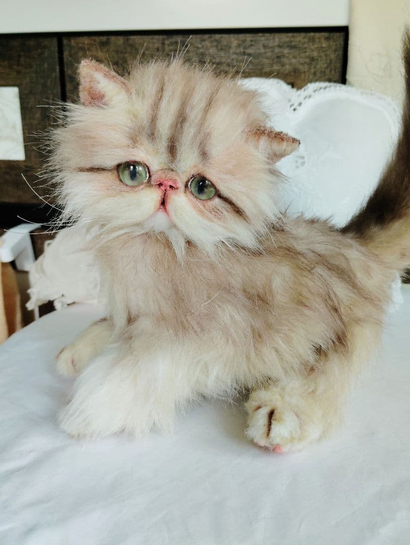 エキゾチックロングヘア♡可愛い子猫ちゃん♡大きめサイズ♡アートドール♡ぬいぐるみ