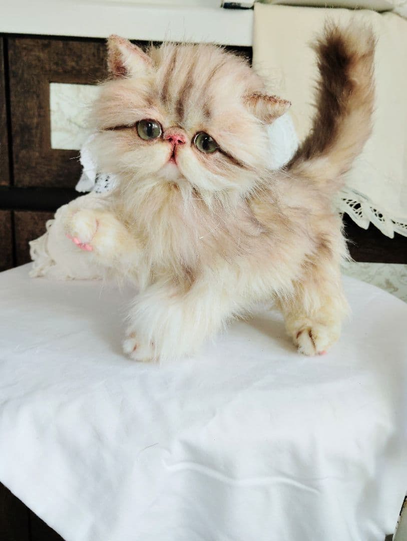 エキゾチックロングヘア♡可愛い子猫ちゃん♡大きめサイズ♡アートドール♡ぬいぐるみ