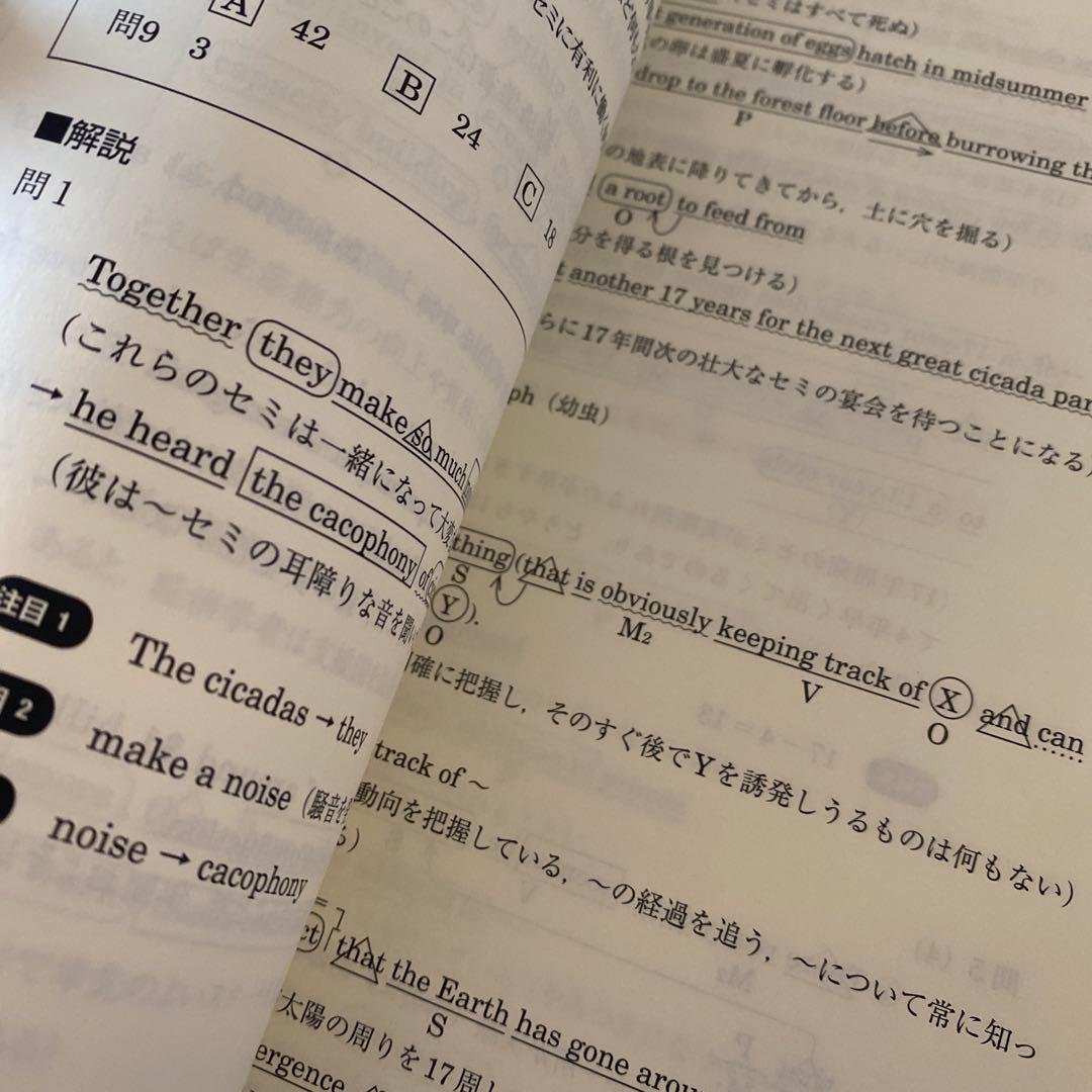 【超希少】東進ハイスクールテキスト　慶大英語　慶應義塾大学英語　 太庸吉