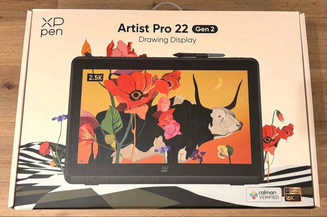 【美品】XPPen Artist Pro 22 (Gen 2)