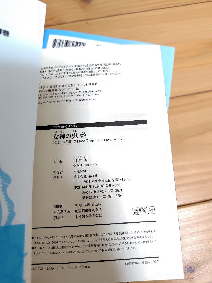 女神の鬼 29