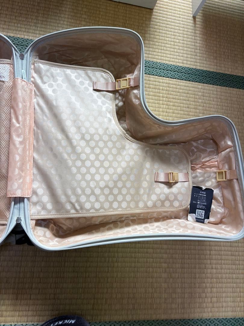 NORICCOノリッコ 子どもが乗れるキャリーケース Mサイズ パステルグリーン
