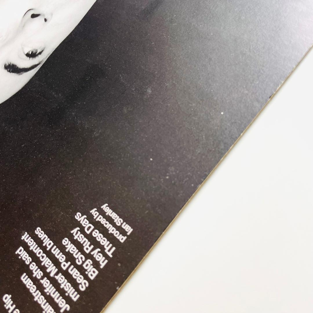 洋楽 Lloyd Cole And The Commotions Mainstream