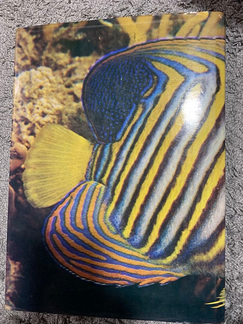 洋書 The Great Barrier Reef by Allan Power