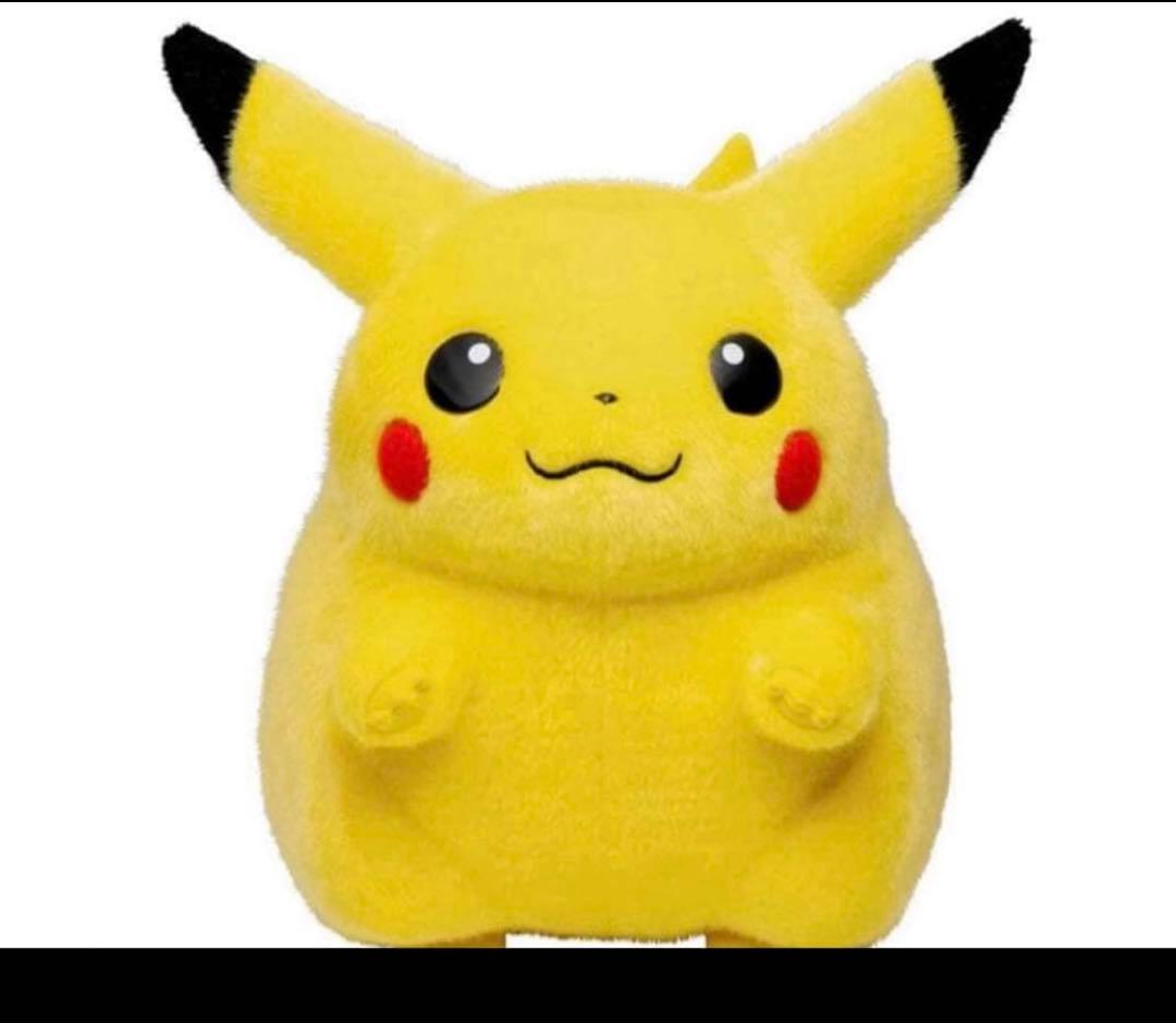 即日発送　新品　ポケモン30周年記念おかえり!ピカチュウ1/1