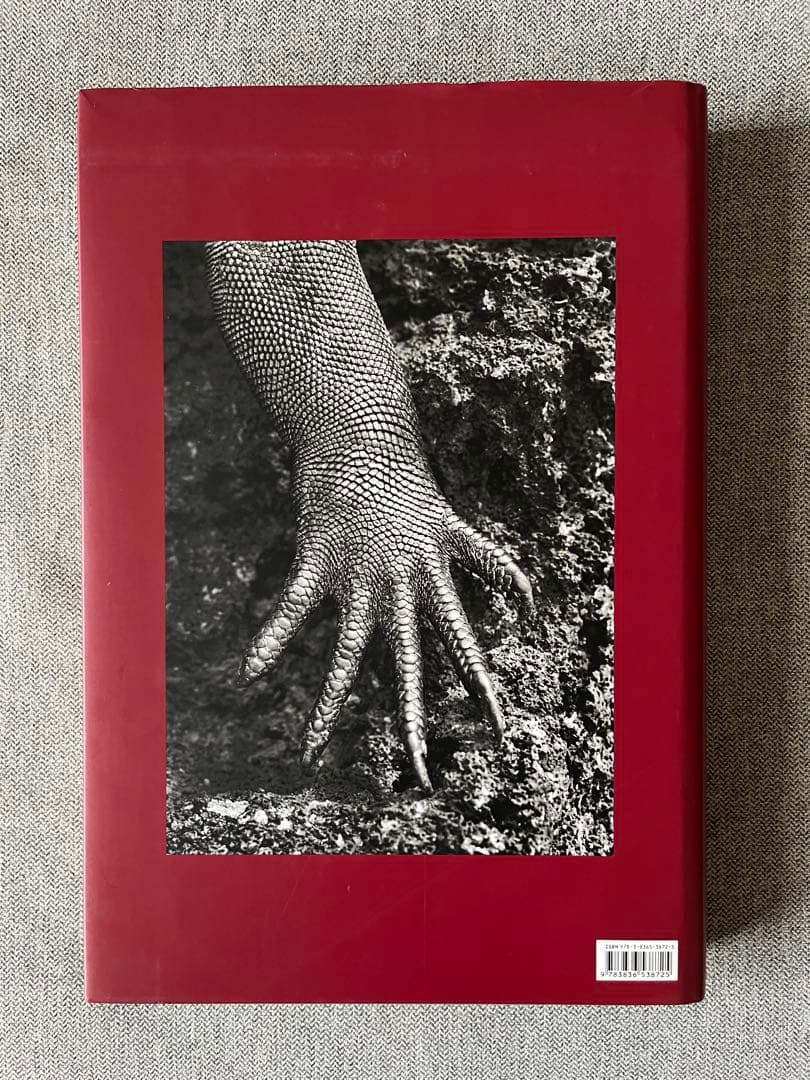 Sebastião Salgado\"GENESIS\"Taschen大型本