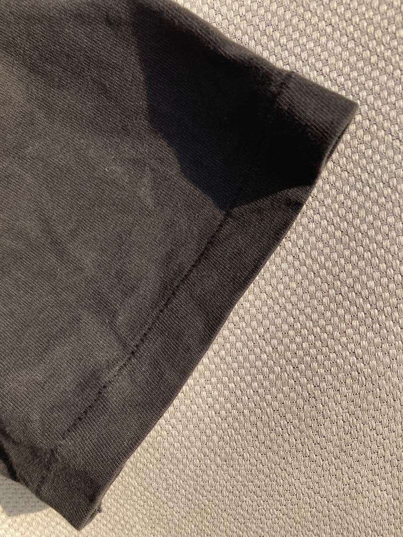 ミュージシャン NINEINCHNAILS THE DOWNWARD SPIRAL HANES