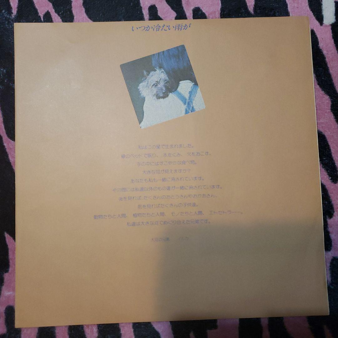 いくか冷たい雨がイルカ　LPレコード