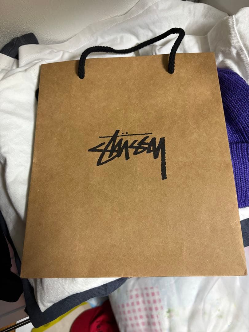 Stussy 紫 ニット帽