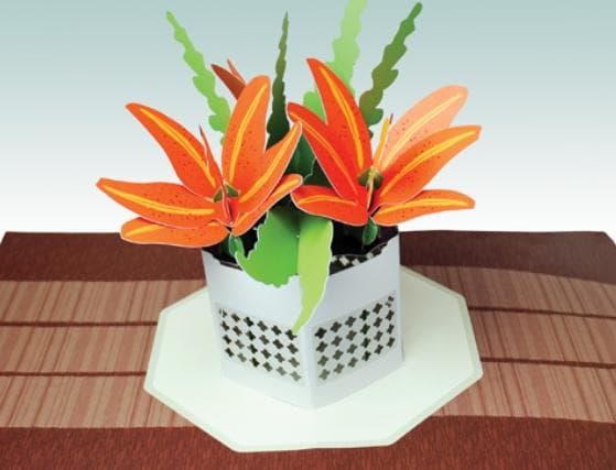 Paper Blossoms: 美しい紙の花の本