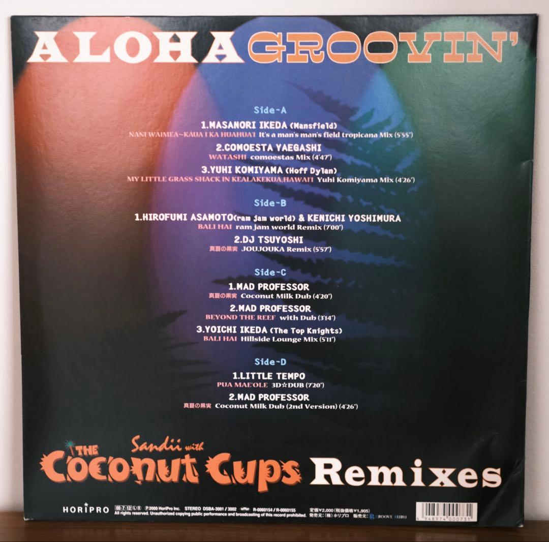 SANDII WITH THE COCONUT CUPS \"真夏の果実\"レコード