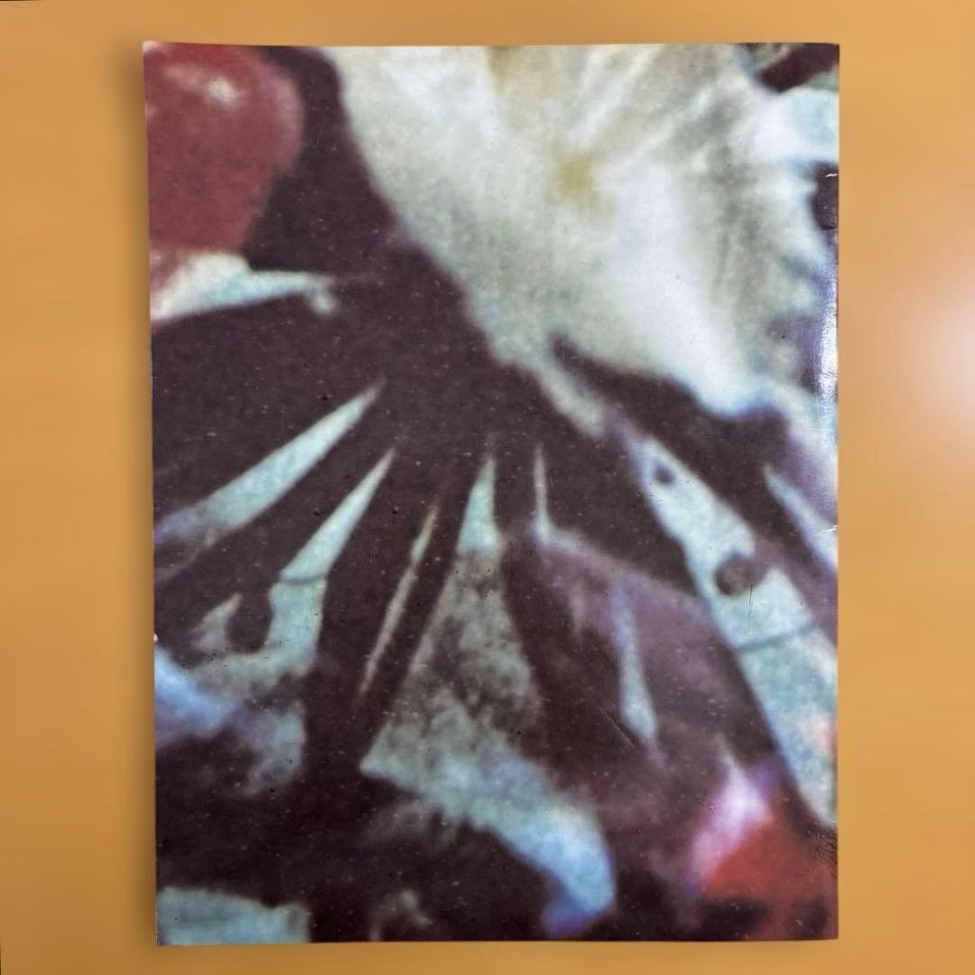 THE CURE : THE PRAYER TOUR （1989）パンフレット
