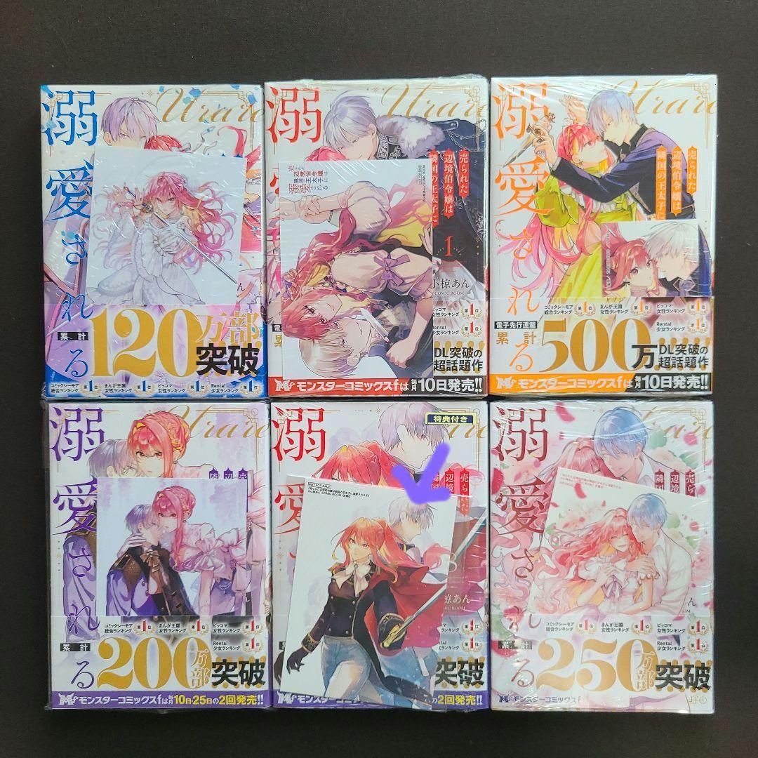 「売られた辺境伯令嬢は隣国の王太子に溺愛される」1〜12