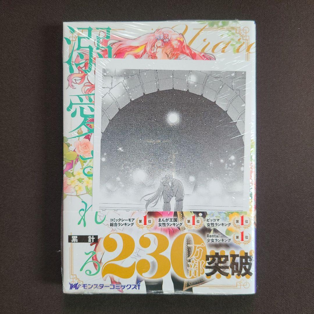 「売られた辺境伯令嬢は隣国の王太子に溺愛される」1〜12