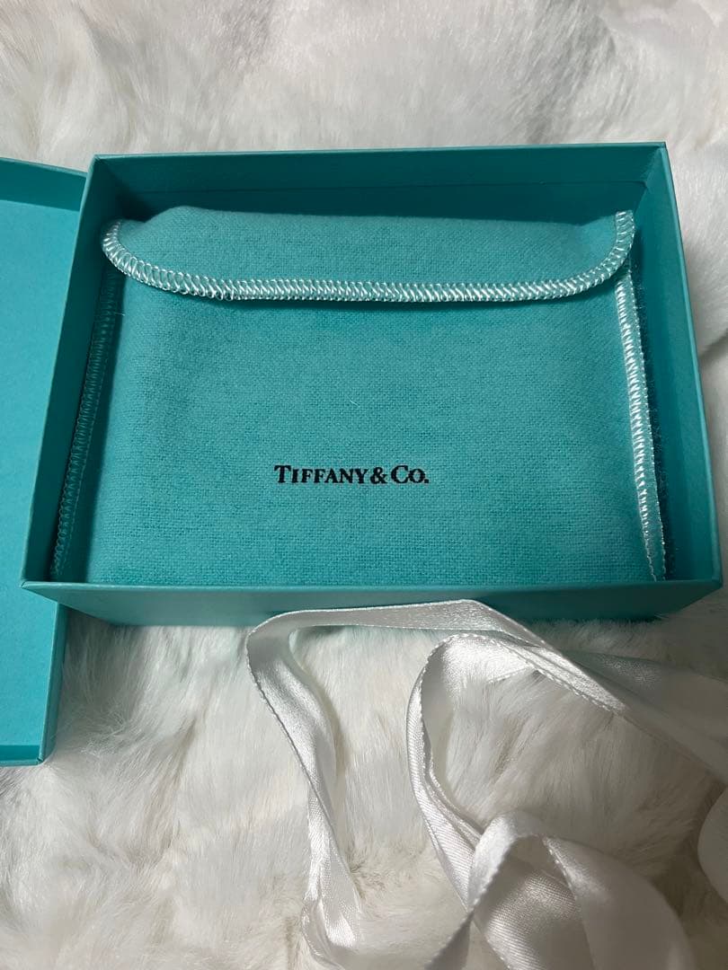 Tiffany & Co. 名刺入れ ティファニーブルー