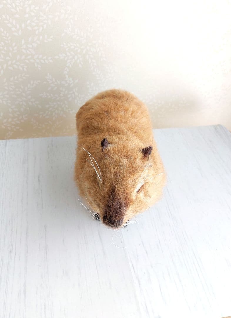 羊毛フェルト　カピバラ