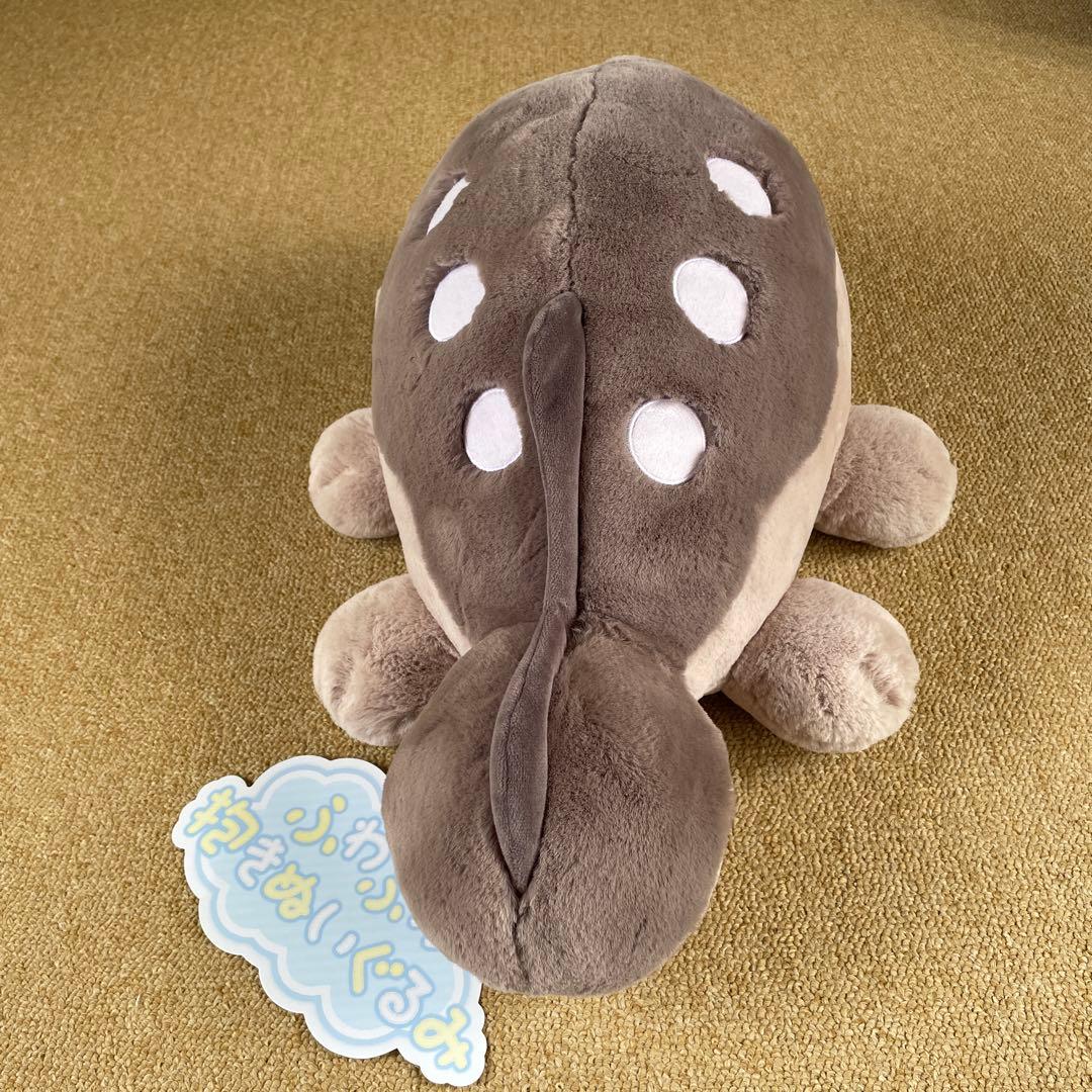 即購入OK ドオー　ぬいぐるみ　ポケセン
