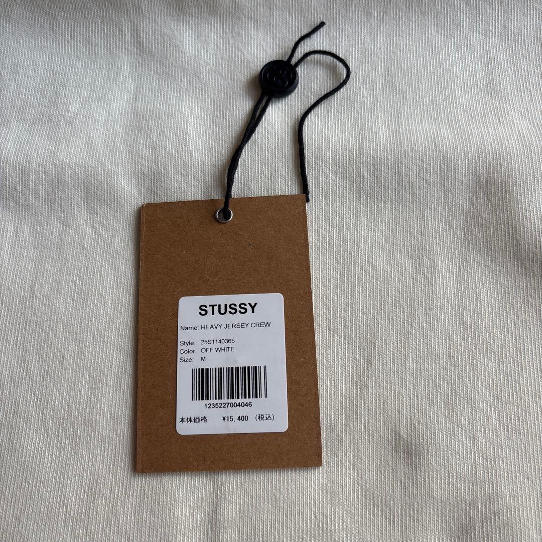 STUSSY HEAVY JERSEY SPORT TEE Mサイズ