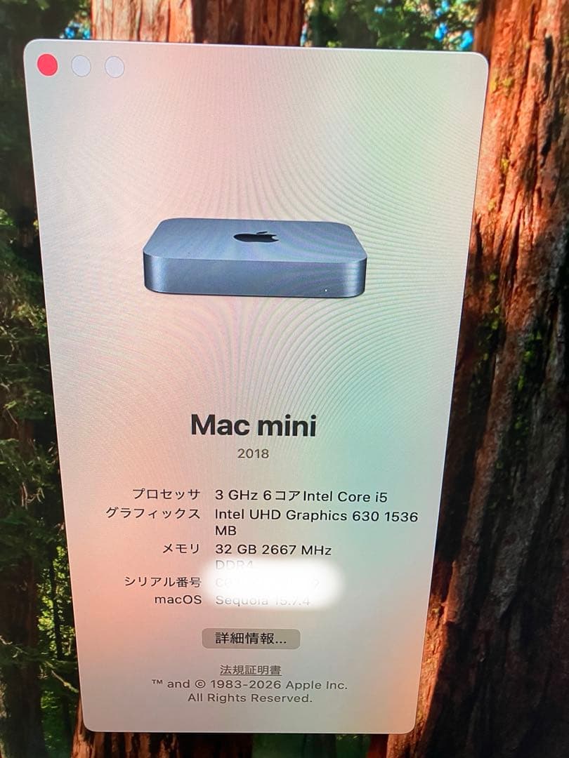 mac mini late 2018　32GB/SSD512G　A1993