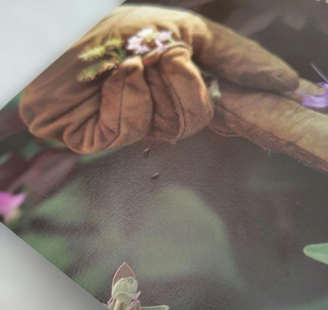 「GARDENS LIFE」3冊セット 宮本里美