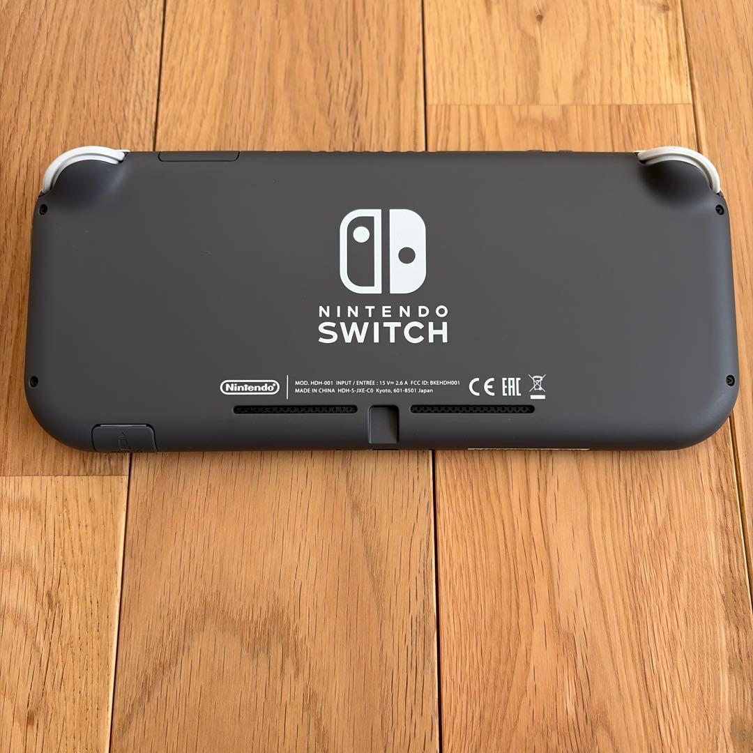 Switch ライト　グレー　本体　充電器付き　箱無し　ジャンク品