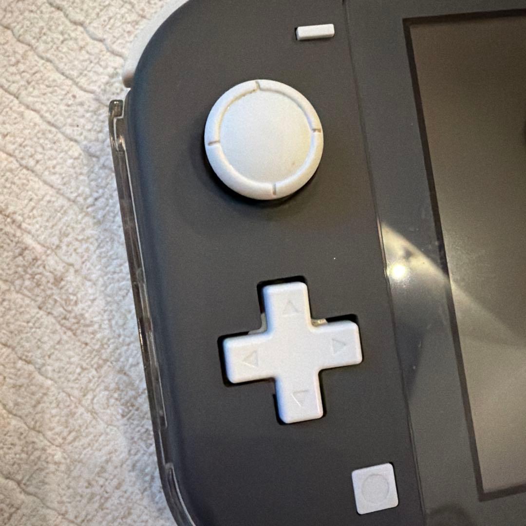 Switch ライト　グレー　本体　充電器付き　箱無し　ジャンク品