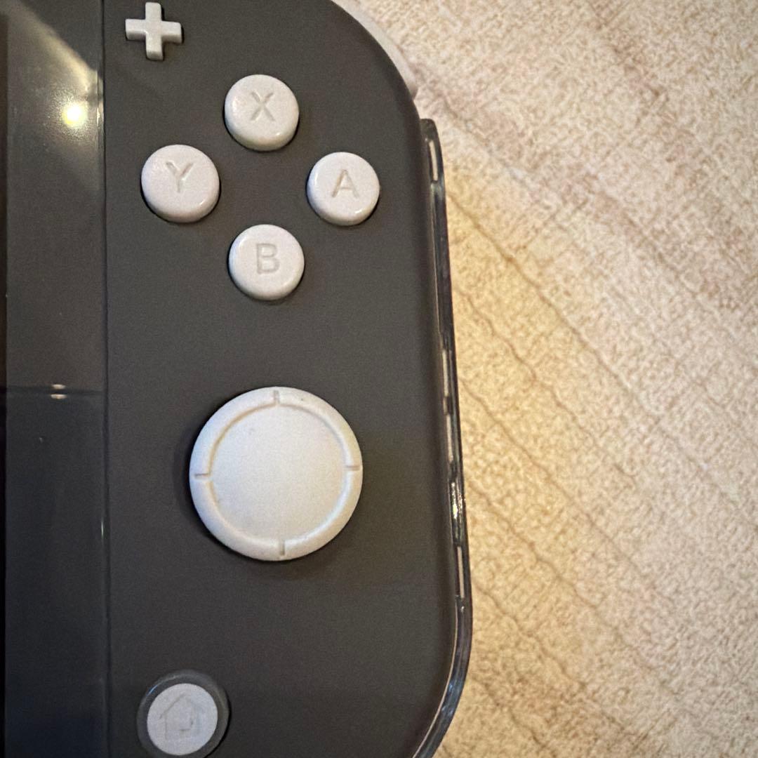 Switch ライト　グレー　本体　充電器付き　箱無し　ジャンク品