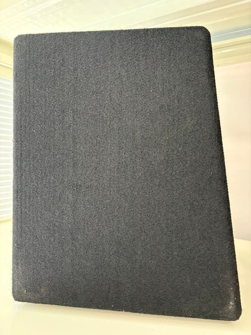 EDEN ECHO 50W ベースアンプ