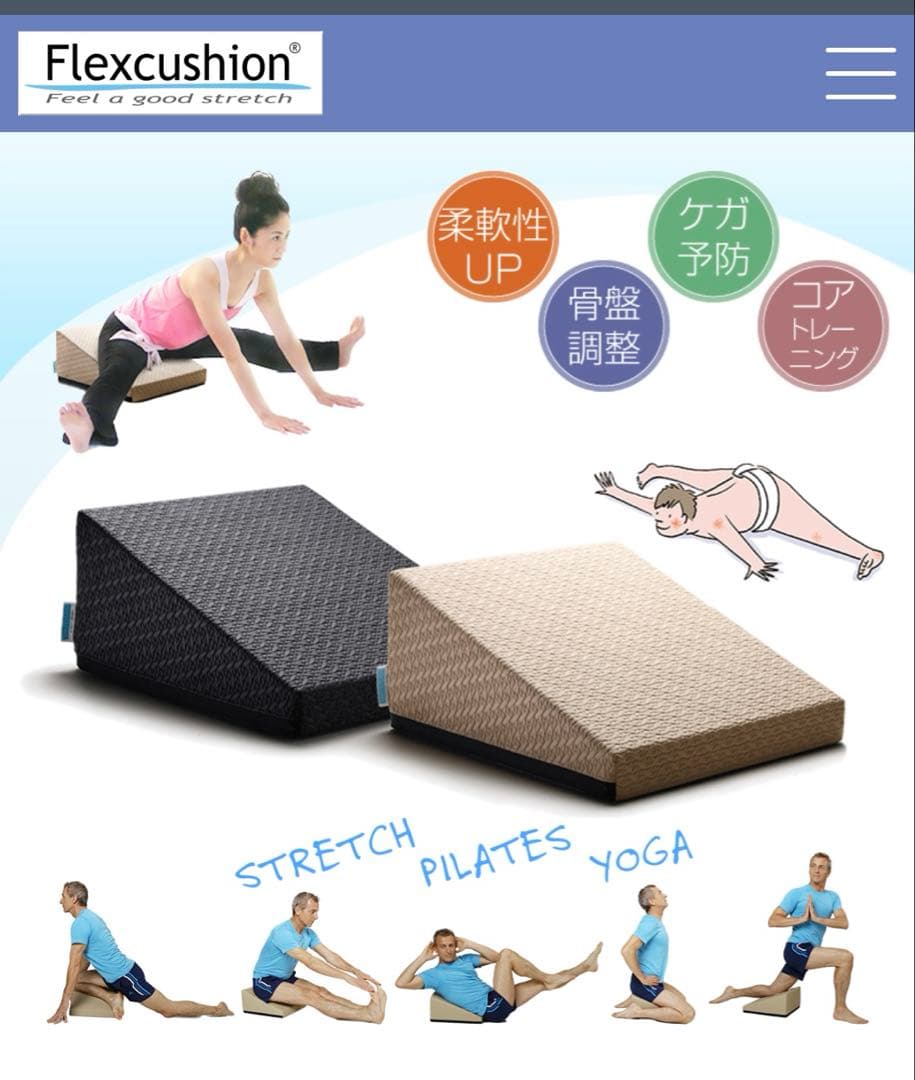 サンテプラス フレックスクッション