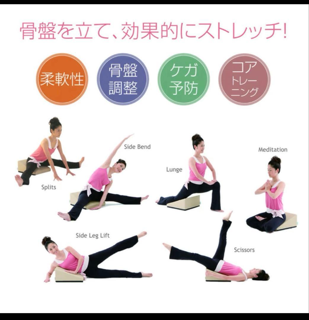 サンテプラス フレックスクッション