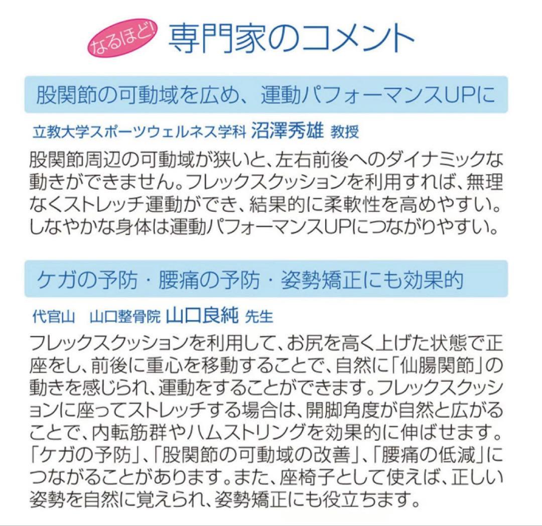 サンテプラス フレックスクッション