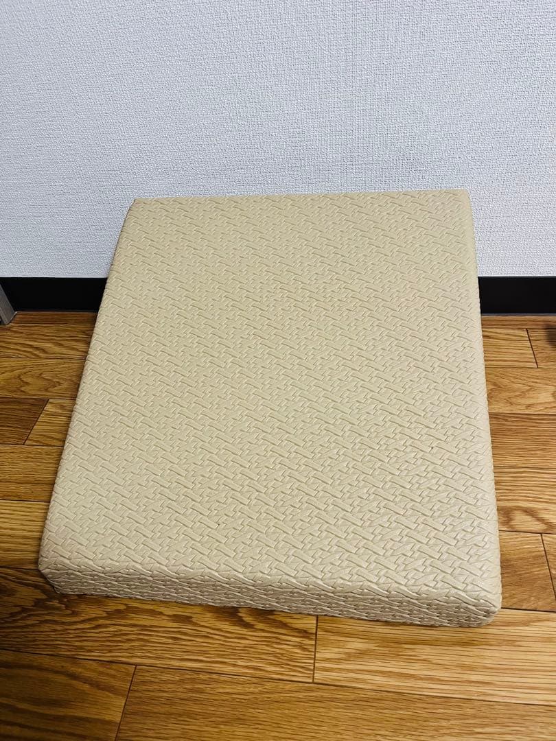 サンテプラス フレックスクッション
