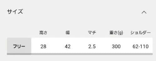 26SS新品 アミアカルヴァ レオパード柄バッグ 2点セット luxe別注